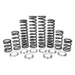 Dual Rate Spring Kit 